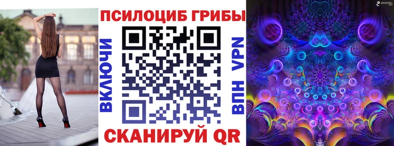 Купить закладки  Вышний Волочёк  Псилоцибиновые грибы MAGIC MUSHROOMS 
